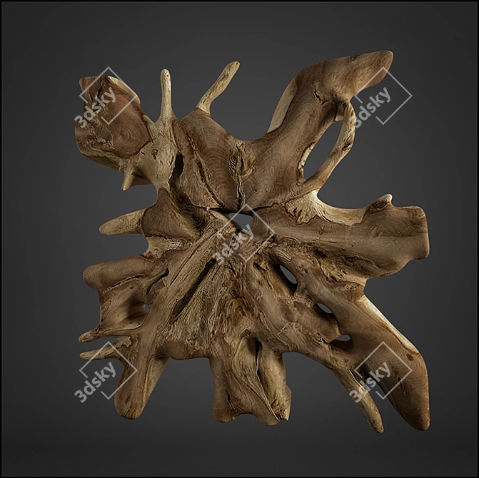 Teak Root Sculpture: Unique, Rustic Art 3D model image 4