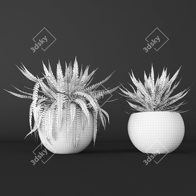 Elegant Fern Duo 3D model image 3