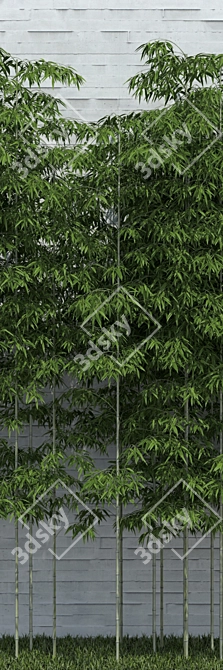 Versatile Bamboo Scatter for Stunning Natural Decor 3D model image 2
