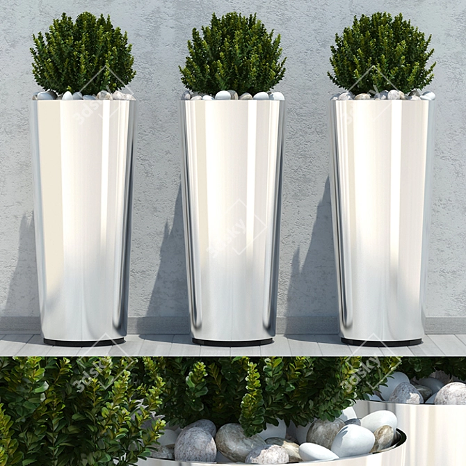 3D Ball Plant Model - High Poly 3D model image 1