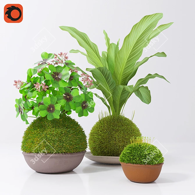 Zen Garden Kokedama Set 3D model image 1