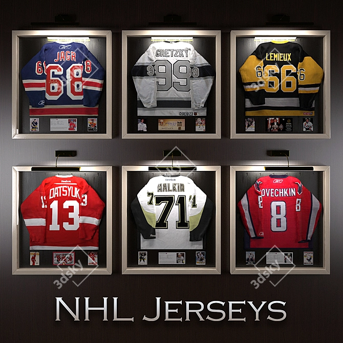 NHL Stars Hockey Jerseys - Limited Edition 3D model image 1