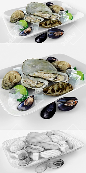 Delicious Bivalve Delights 3D model image 2