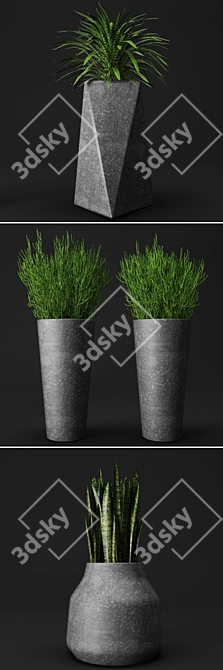 Urban Oasis: Concrete Pot Set with Plants 3D model image 2