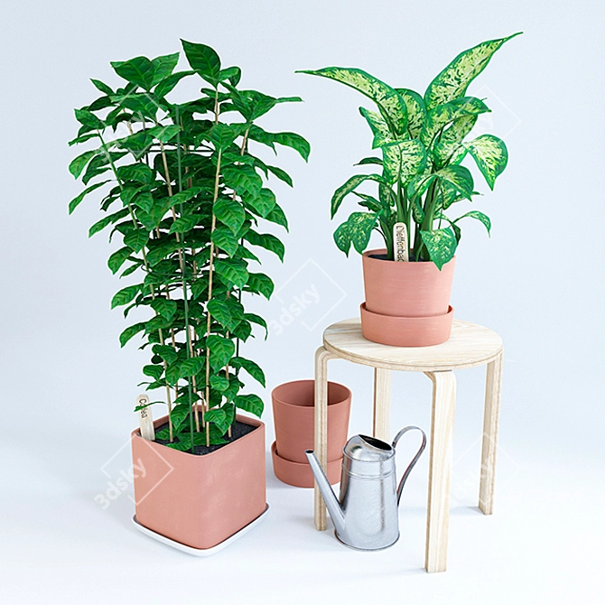 Ikea Coffee Dieffenbachia:
Frost Stool + Soccer Watering Can 3D model image 1