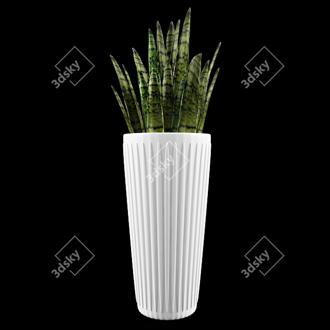 Large Sansevieria Floor Plant 3D model image 1