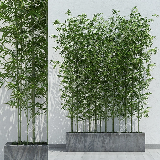 Eco-Friendly Bamboo 2: Lightweight and Versatile 3D model image 1