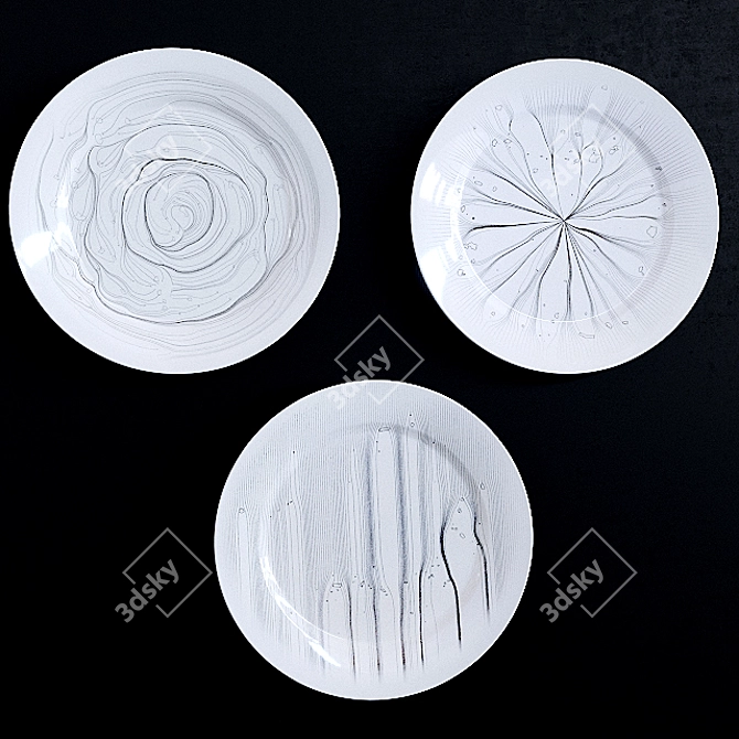 Elegant Home Decor Plates 3D model image 3