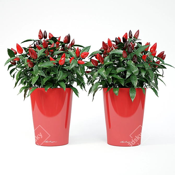 Potted Ornamental Peppers: Lechuza Deltini 3D model image 1