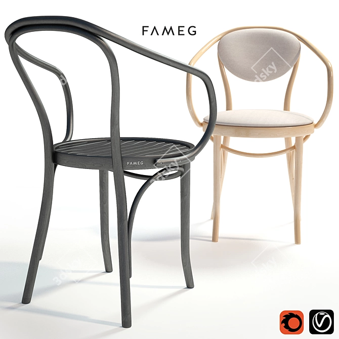 Classic Beauty: Fameg B-9/1 3D model image 1