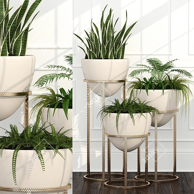 14 Unique Room Plants Set 3D model image 1