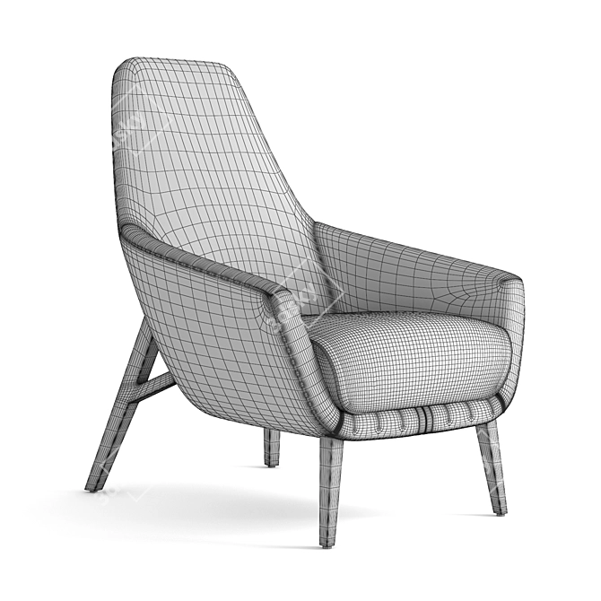 Compact Comfort: Montis Enzo Armchair 3D model image 2