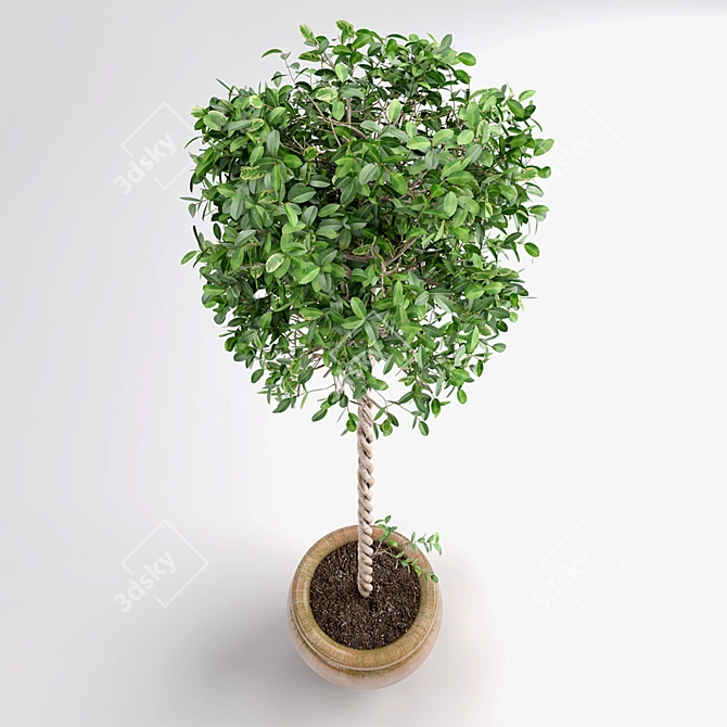 3D Max Plant Creation Kit 3D model image 2