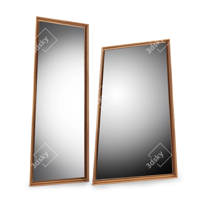 Elegant Set of Mirror Flags 3D model image 1