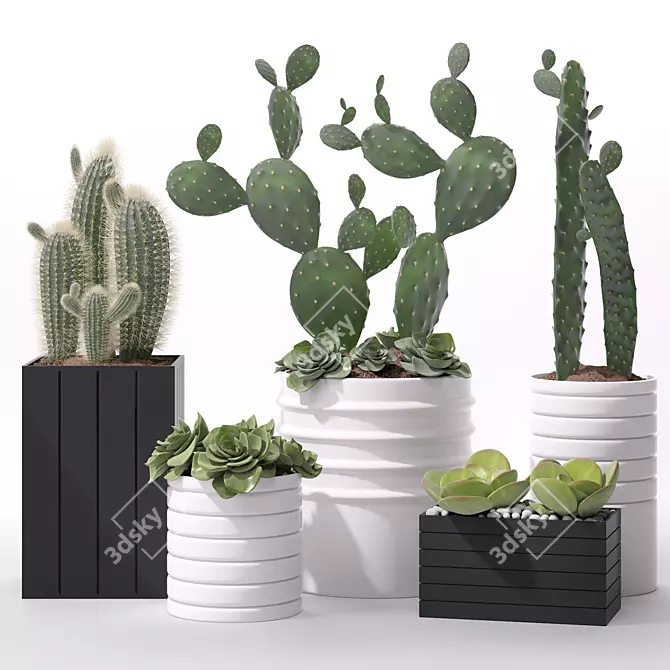 Modern Indoor Plant Set 3D model image 1