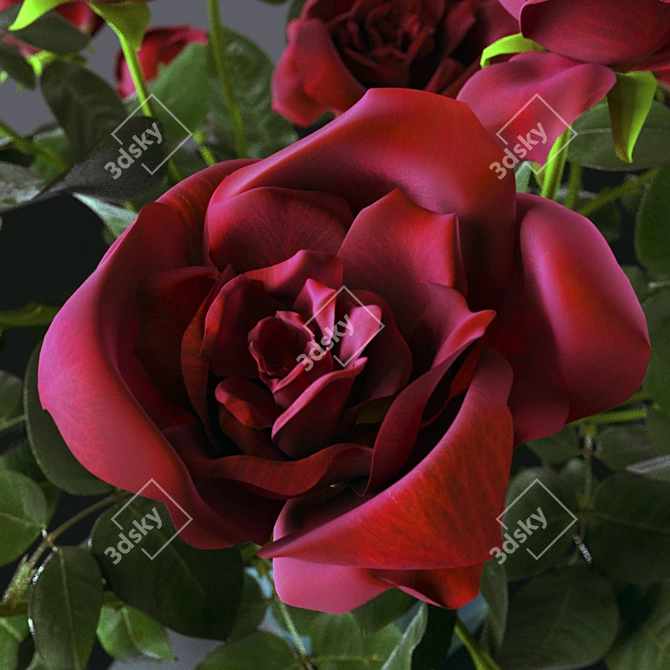 Everlasting Love: Belated Valentine's Roses 3D model image 2