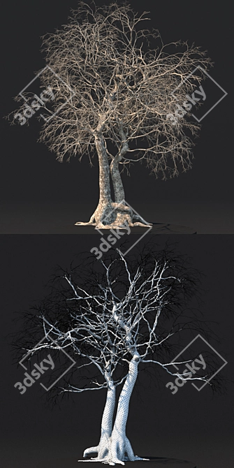 Eternal Timber: 3D Dead Tree 3D model image 3
