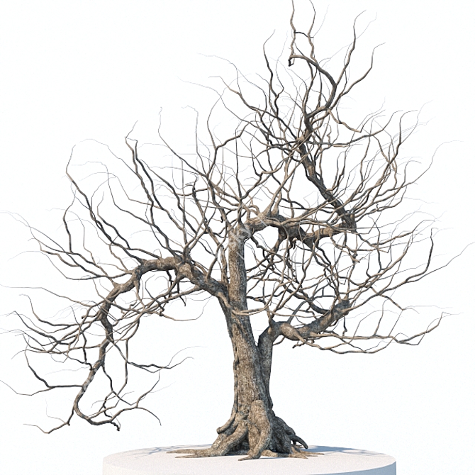 Eerie Tree Sculpture 3D model image 1