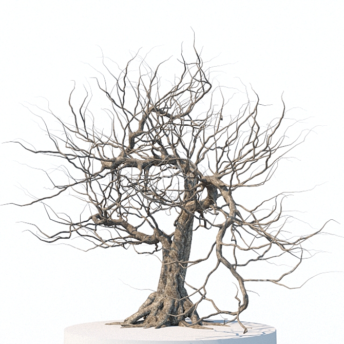 Eerie Tree Sculpture 3D model image 2