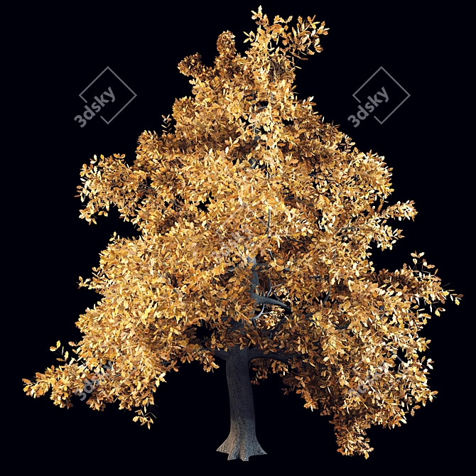 English Oak: Majestic and Resilient 3D model image 2