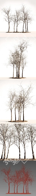 Wooden Seasonal Trees 3D model image 2