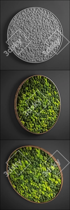 Moss Circle Panel: D800mm, UV Mapped 3D model image 2