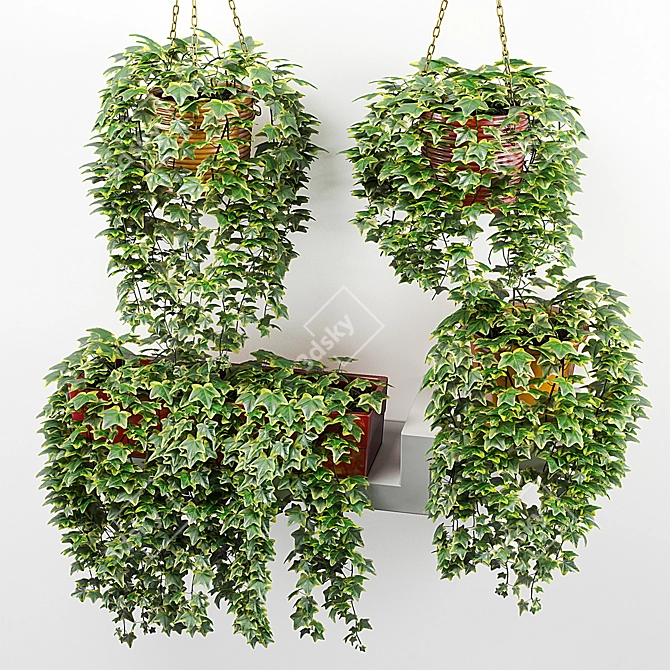 Hanging Ivy in Pot: Accentuate Shelf with Lush Greenery 3D model image 1