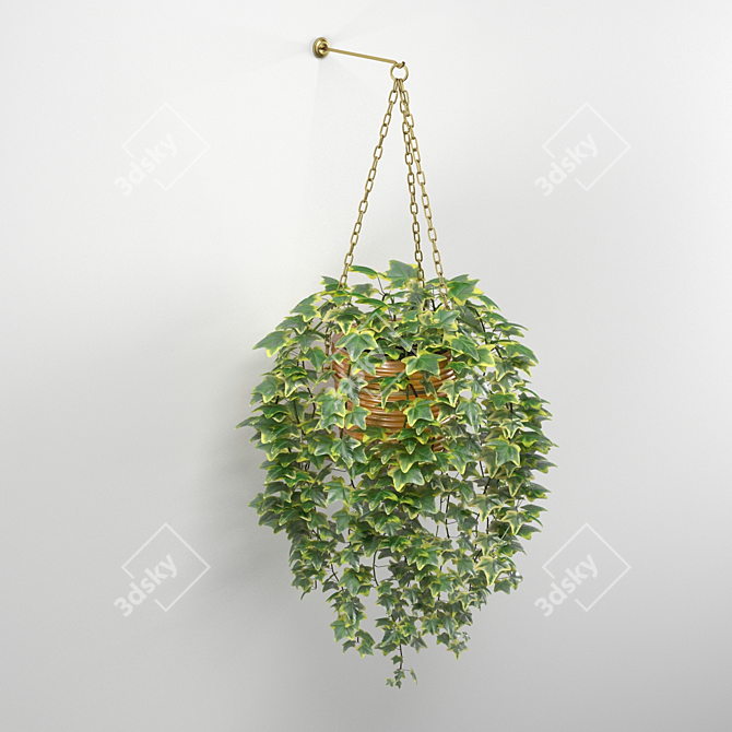 Hanging Ivy in Pot: Accentuate Shelf with Lush Greenery 3D model image 3