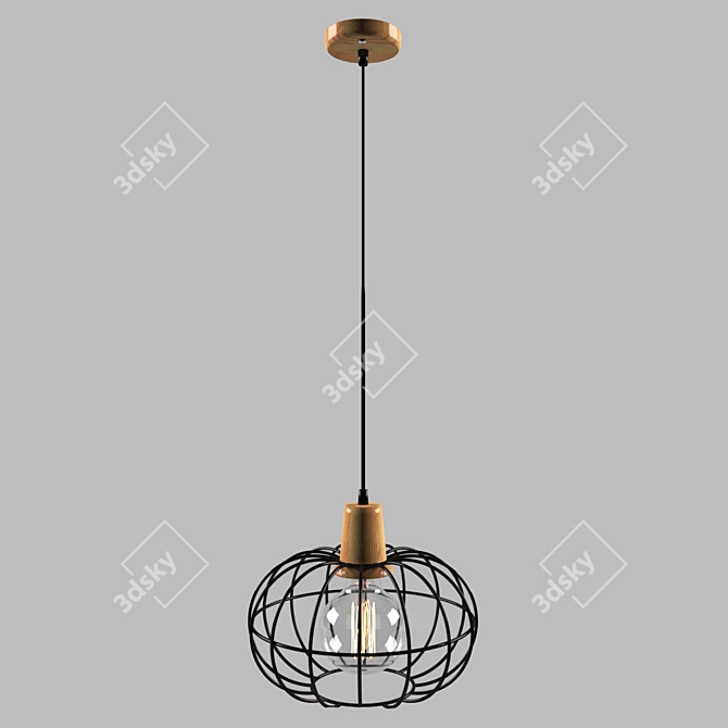 European Pendant Light: Suspension 50076/1 3D model image 1