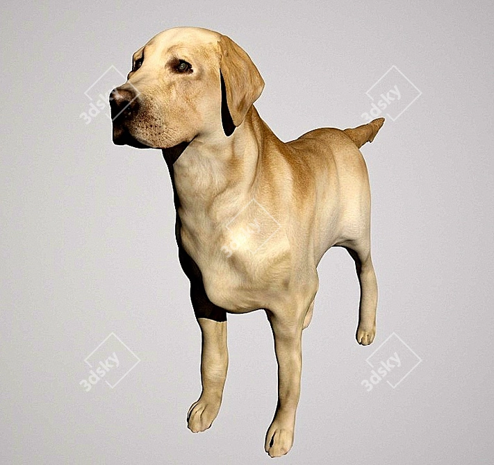 Adorable Labrador Dog Sculpture 3D model image 1