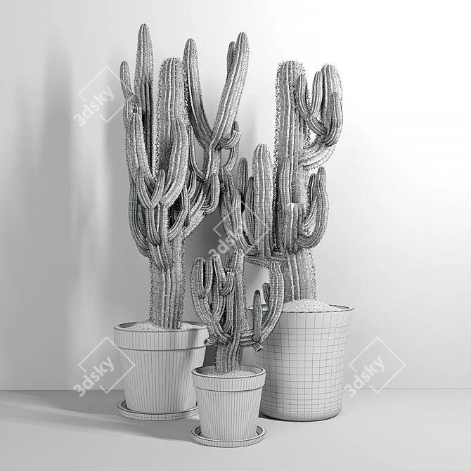 3 Carnegiea Cactus Set 3D model image 2