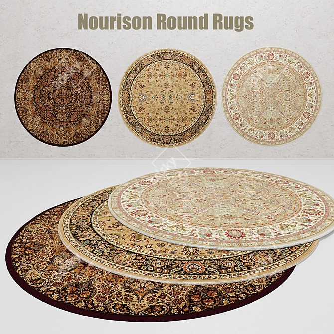 Nourison Round Rugs: Elegant and Versatile 3D model image 1