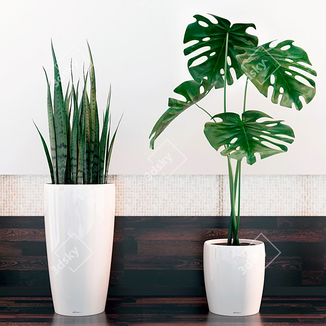 Tropical Dream: Sansevieria & Monstera 3D model image 1