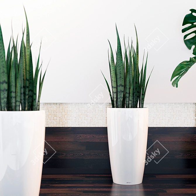 Tropical Dream: Sansevieria & Monstera 3D model image 2