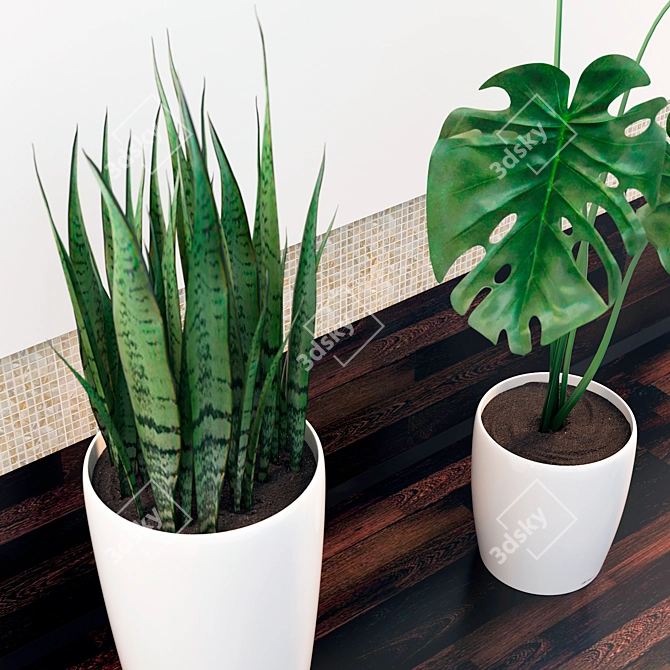 Tropical Dream: Sansevieria & Monstera 3D model image 3