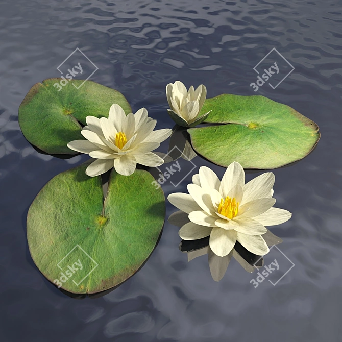 Water Lily Sculpture- Handmade for Fisherman's Hut Scene 3D model image 1