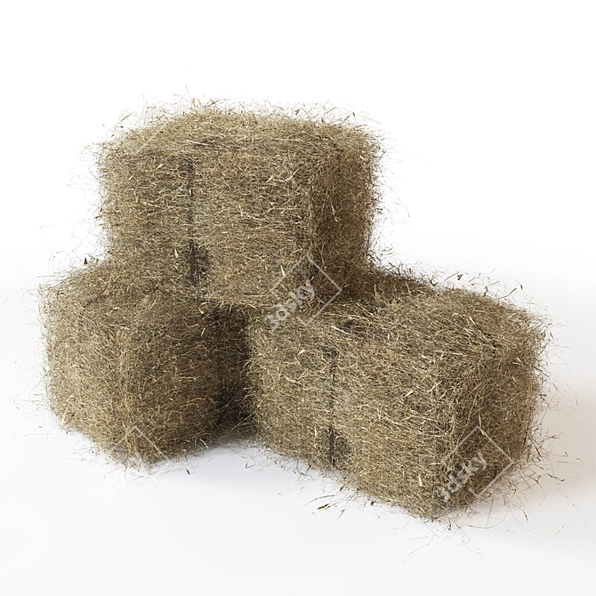 Premium Hay Bales - Quality & Value 3D model image 1