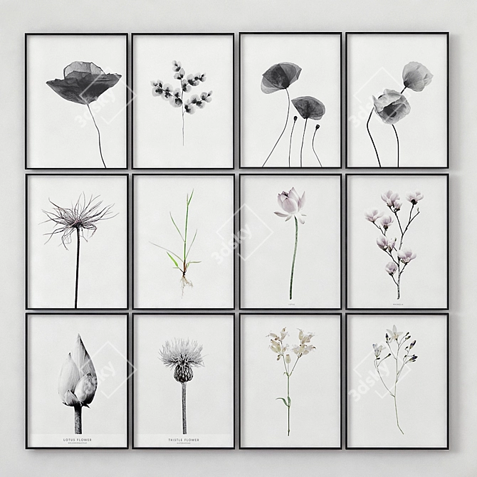 Botanical Bliss: Plant Posters (40x60 cm) 3D model image 1