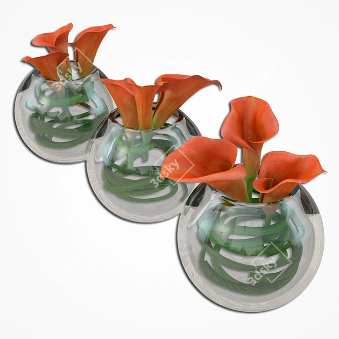 Elegant Callas in Glass Vase 3D model image 1