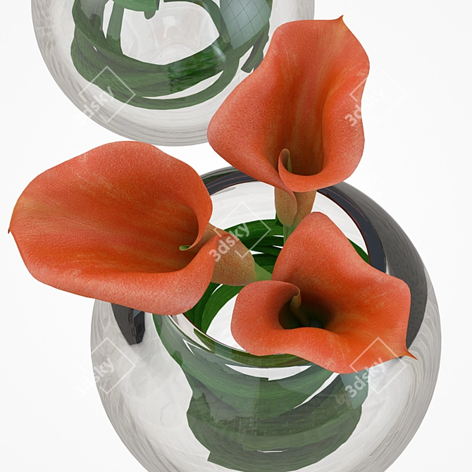 Elegant Callas in Glass Vase 3D model image 2