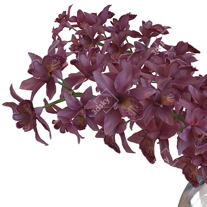 Exquisite Orchidaceae Home Décor 3D model image 2