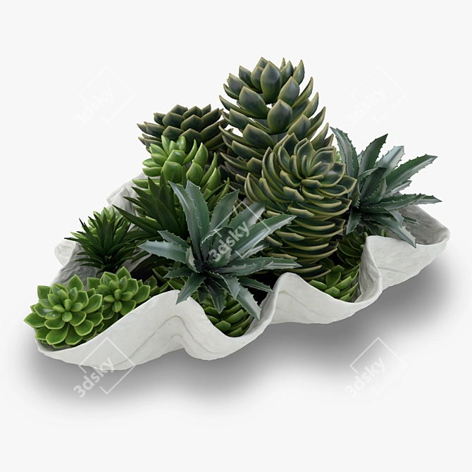 Sea Life Succulent Bowl 3D model image 1