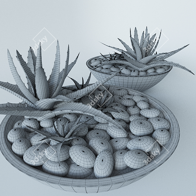 Stone-Embellished Succulents 3D model image 2