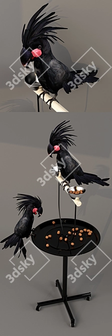 Title: Exotic Black Cockatoo: A Rare Pet with Unique Charms 3D model image 2