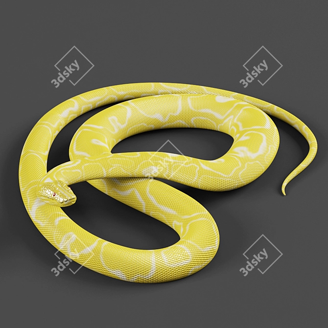Exotic Tiger Python Sculpture 3D model image 1