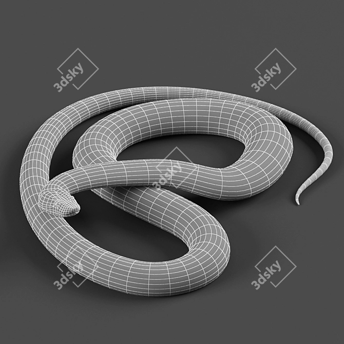 Exotic Tiger Python Sculpture 3D model image 3