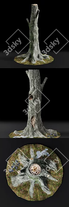 Haunted Chestnut: Lifelike Dead Tree 3D model image 2