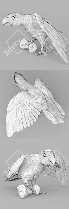 Talented Talking Parrot: Jaco 3D model image 3