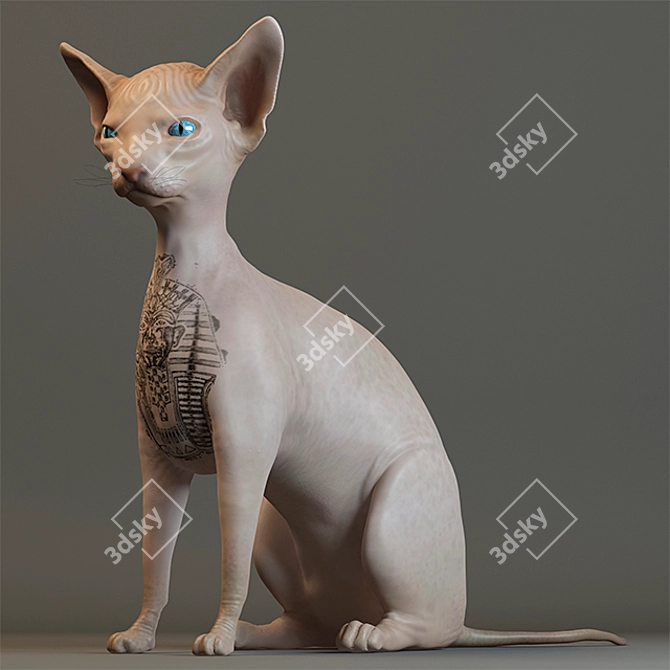 Sphynx: The Hairless Feline 3D model image 2