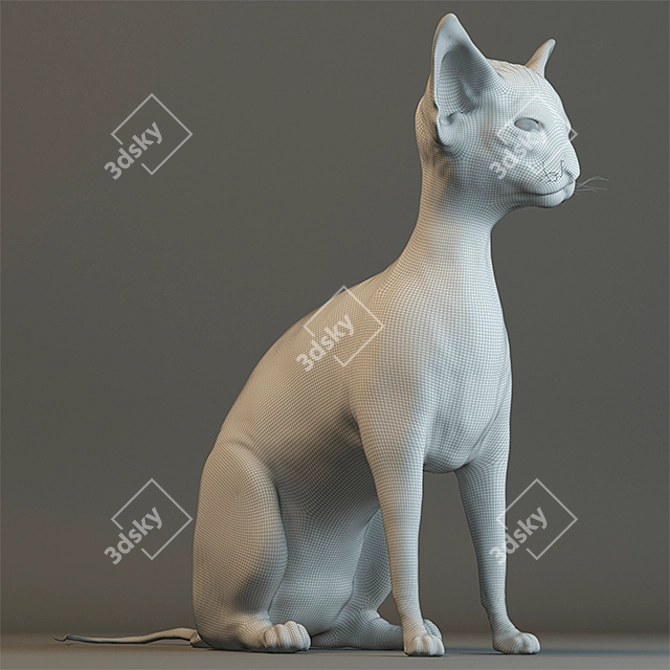 Sphynx: The Hairless Feline 3D model image 3